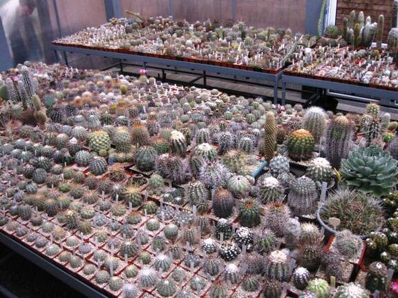 Выставка 1 мая 2009 (Донецк)