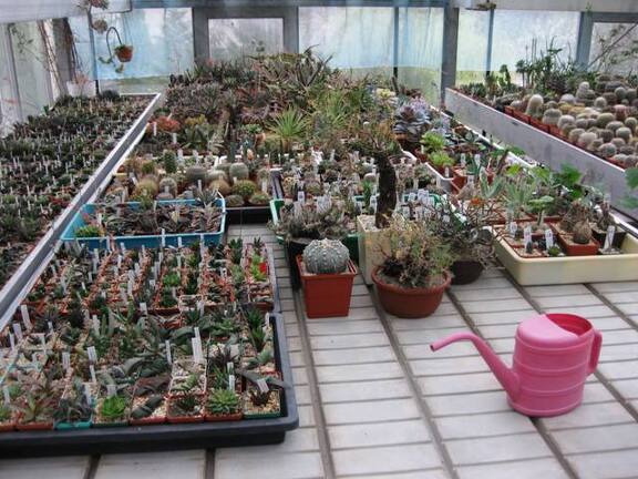 Выставка 1 мая 2009 (Донецк)