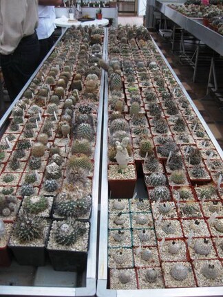 Выставка 1 мая 2009 (Донецк)