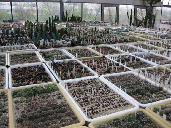 Выставка 1 мая 2009 (Донецк)