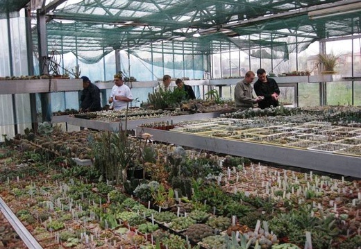 Выставка 1 мая 2009 (Донецк) (1740 відвідувань) Фото Лорана Комяти (Кировоград)
Выставка 1 мая 2009 (Донецк)