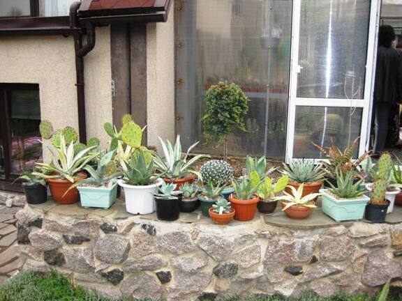 Выставка 1 мая 2009 (Донецк)