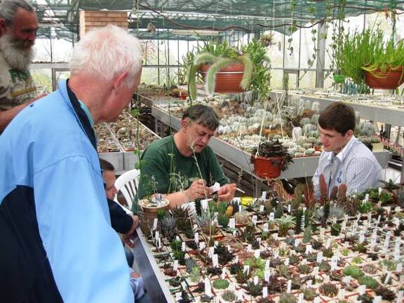 Выставка 1 мая 2009 (Донецк)