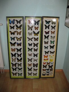 Выставка 1 мая 2009 (Донецк)