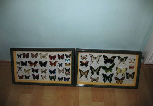 Выставка 1 мая 2009 (Донецк) (2257 відвідувань) Фото Лорана Комяти (Кировоград)
Выставка 1 мая 2009 (Донецк)