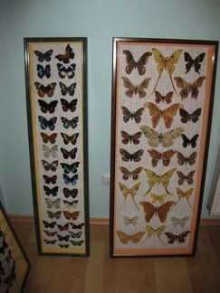 Выставка 1 мая 2009 (Донецк)