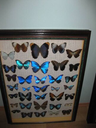 Выставка 1 мая 2009 (Донецк)