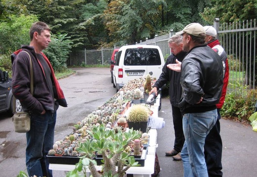 Выставка сентябрь 2008 (2071 відвідувань) Частый участник киевских выставок - Сергей Чеховский (... Выставка сентябрь 2008