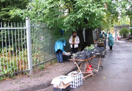 Выставка сентябрь 2008 (1809 відвідувань) Потом организовали походный стол с целью отметить еще... Выставка сентябрь 2008