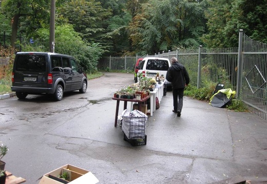 Выставка сентябрь 2008 (1833 відвідувань) Фото Лорана Комяти (Кировоград)
Выставка сентябрь 2008