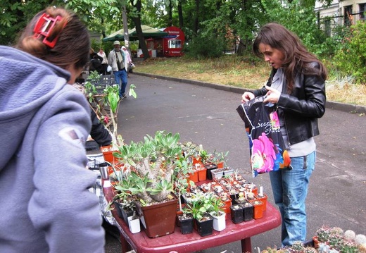 Выставка сентябрь 2008 (2070 відвідувань) Фото Лорана Комяти (Кировоград)
Выставка сентябрь 2008