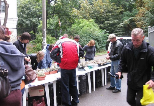 Выставка сентябрь 2008 (2185 відвідувань) Последние часы выставки. Все активизировались :)
Фото ... Выставка сентябрь 2008
