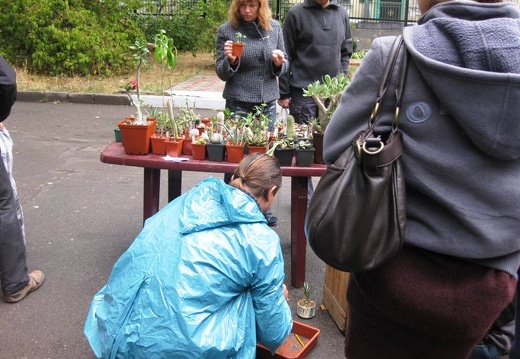 Выставка сентябрь 2008 (2266 відвідувань) Фото Лорана Комяти (Кировоград)
Выставка сентябрь 2008