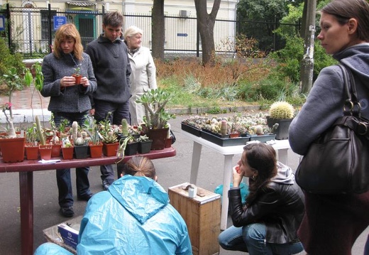 Выставка сентябрь 2008 (2142 відвідувань) Фото Лорана Комяти (Кировоград) Выставка сентябрь 2008