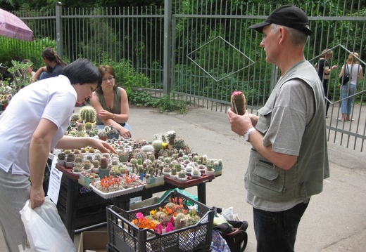 Выставка май 2008 (1763 відвідувань) Фото Лорана Комяти (Кировоград)
Выставка май 2008