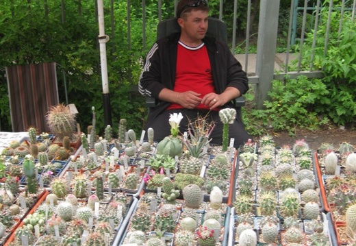 Выставка май 2008 (1731 відвідувань) Один из многочисленных иногородних гостей выставки - �... Выставка май 2008