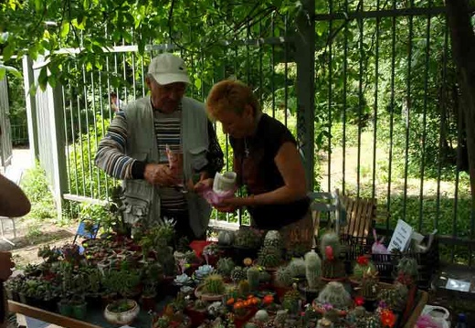 Выставка май 2008 (2147 відвідувань) Гость выставки Анатолий Константинович Кваснюк (Одес�... Выставка май 2008