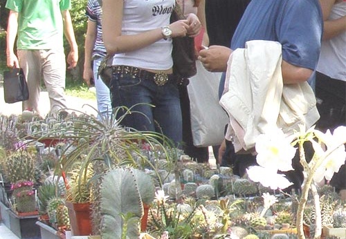 Выставка май 2007 (1805 відвідувань) Фото Лианы Болгар (Харьков) Выставка май 2007