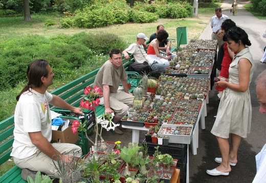 Выставка май 2007 (1986 відвідувань) Иногородние гости приезжали каждый день
Фото Алексея... Выставка май 2007
