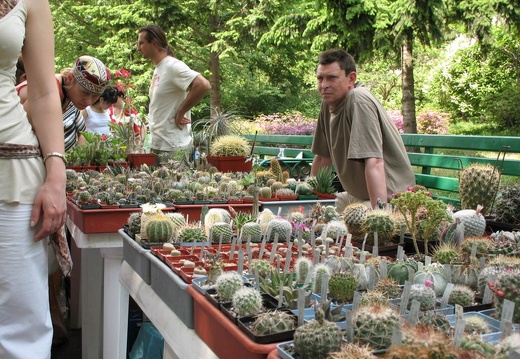 Выставка май 2007 (197 відвідувань) Фото Алексея Вовк (Киев) Выставка май 2007