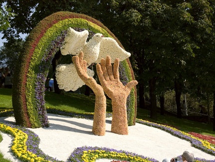 Городская выставка цветов, август 2008 (2100 відвідувань) Городская выставка цветов, август 2008