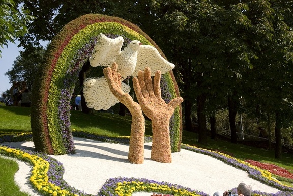 Городская выставка цветов, август 2008