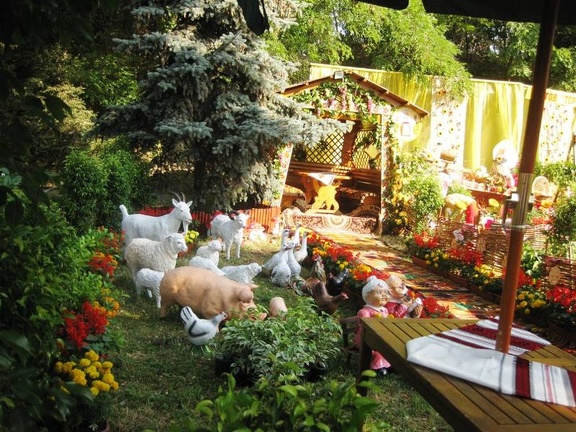 Городская выставка цветов, август 2008