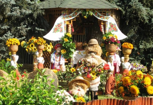 Городская выставка цветов, август 2008 (2068 відвідувань) Фото Лорана и Сергея Комяти (Кировоград)
Городская выставка цветов, август 2008