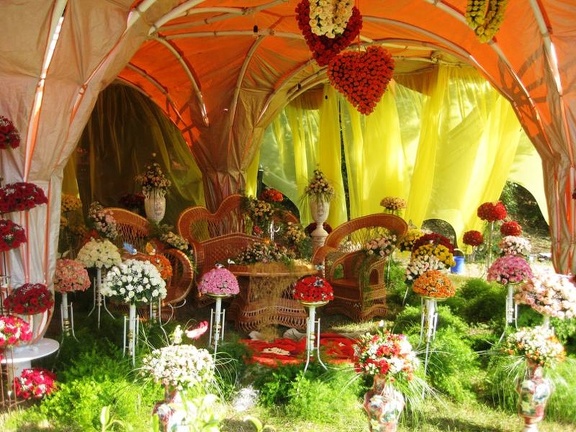 Городская выставка цветов, август 2008