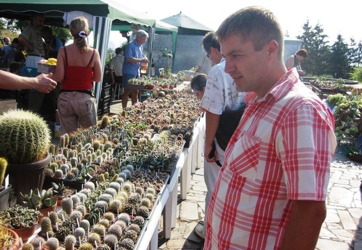 Городская выставка цветов, август 2008 (210 відвідувань) Фото Лорана и Сергея Комяти (Кировоград) Городская выставка цветов, август 2008