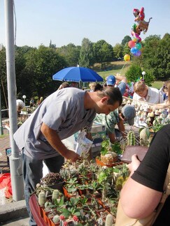 Городская выставка цветов, август 2008