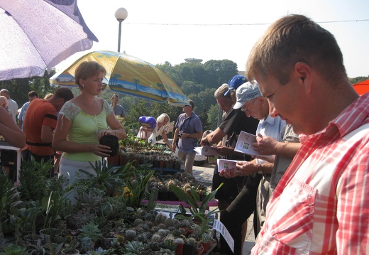 Городская выставка цветов, август 2008 (2328 відвідувань) Фото Лорана и Сергея Комяти (Кировоград) Городская выставка цветов, август 2008