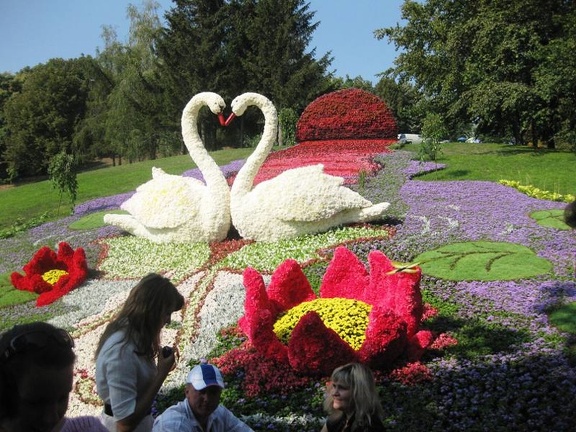 Городская выставка цветов, август 2008