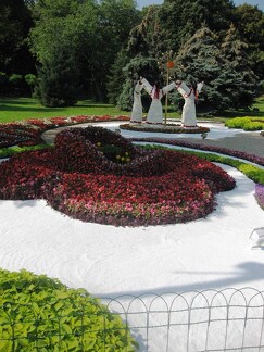 Городская выставка цветов, август 2008