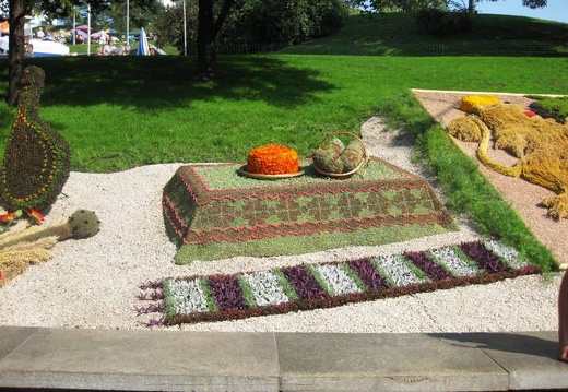 Городская выставка цветов, август 2008 (2488 відвідувань) Фото Лорана и Сергея Комяти (Кировоград) Городская выставка цветов, август 2008
