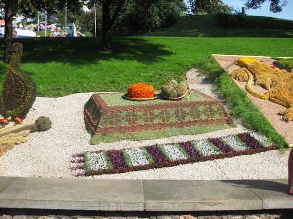 Городская выставка цветов, август 2008