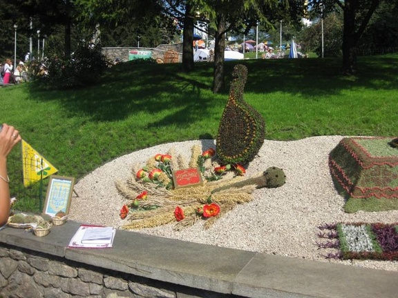 Городская выставка цветов, август 2008