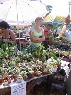 Городская выставка цветов, август 2008