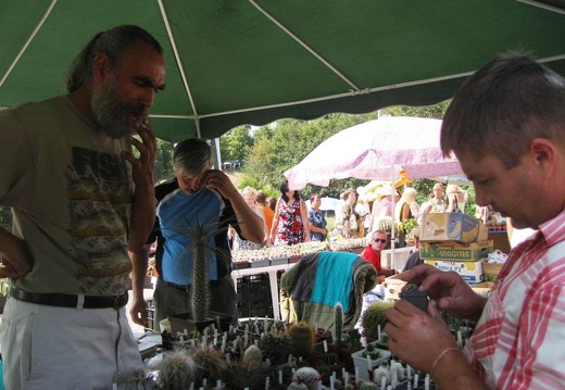 Городская выставка цветов, август 2008 (2671 відвідувань) Фото Лорана и Сергея Комяти (Кировоград) Городская выставка цветов, август 2008