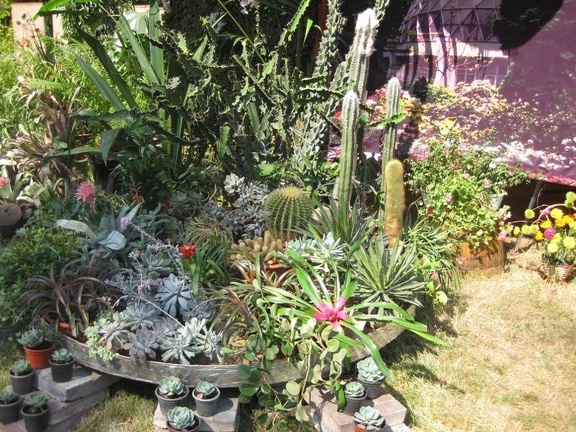 Городская выставка цветов, август 2008