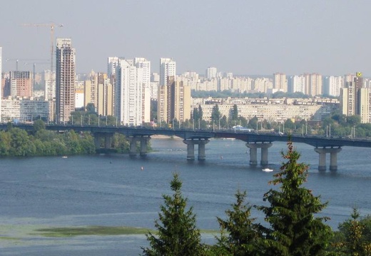 Городская выставка цветов, август 2008 (2481 відвідувань) Фото Лорана и Сергея Комяти (Кировоград) Городская выставка цветов, август 2008