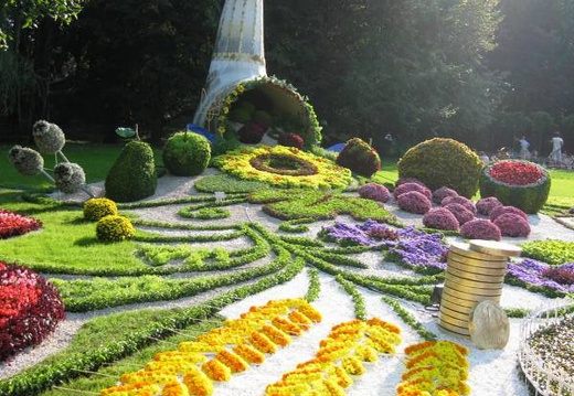 Городская выставка цветов, август 2008 (2509 відвідувань) Фото Лорана и Сергея Комяти (Кировоград)
Городская выставка цветов, август 2008