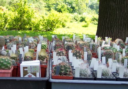 Выставка май 2006 (Киев) (1820 відвідувань) Фото Владимира Иванова (Киев)
Выставка май 2006 (Киев)