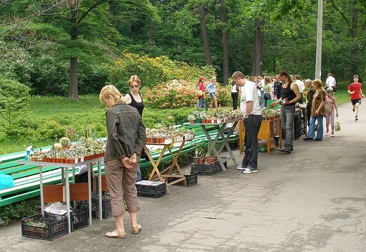 Выставка май 2006 (Киев) (1770 відвідувань) Фото Владимира Иванова (Киев) Выставка май 2006 (Киев)