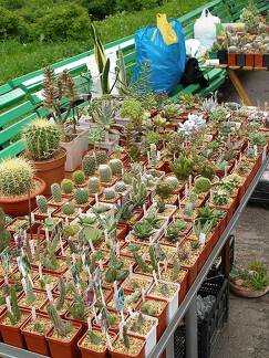 Выставка май 2006 (Киев)