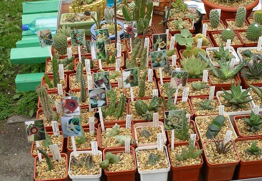 Выставка май 2006 (Киев) (2055 відвідувань) Фото Владимира Иванова (Киев) Выставка май 2006 (Киев)