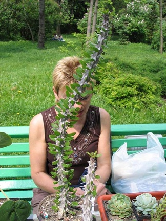 Выставка май 2006 (Киев)