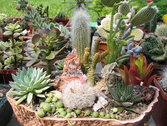 Выставка май 2006 (Киев)