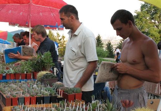 Выставка август 2007 (1859 відвідувань) Фото Алексея Вовк (Киев) Выставка август 2007