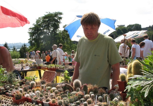 Выставка август 2007 (1924 відвідувань) Сергей Слободянюк (Николаев).
Фото Алексея Вовк (Киев) Выставка август 2007
